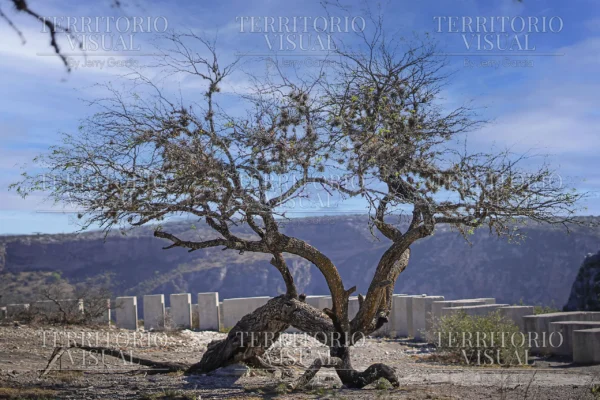 Raíz de Viento - Pérez Zeledón, Costa Rica