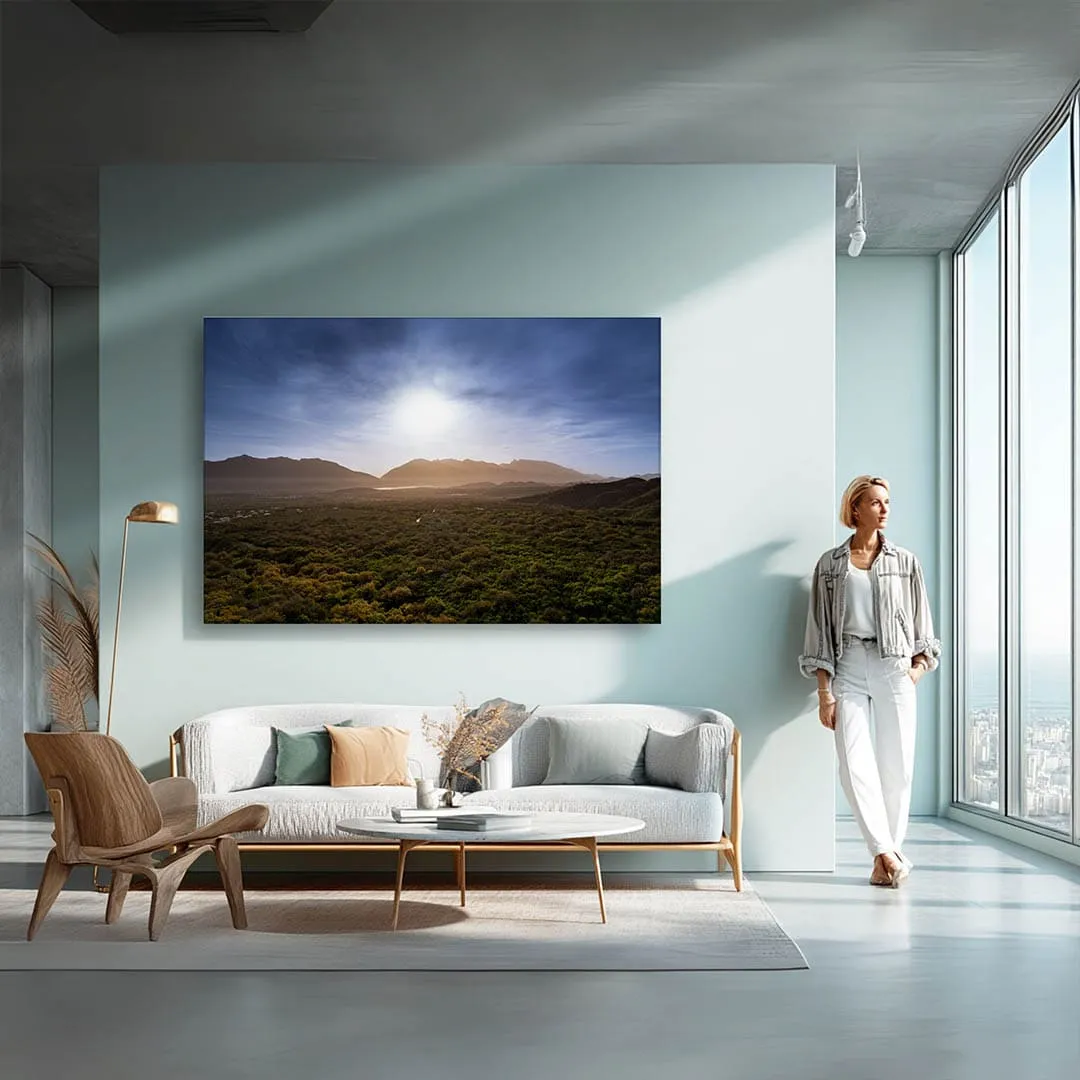 Galery 6